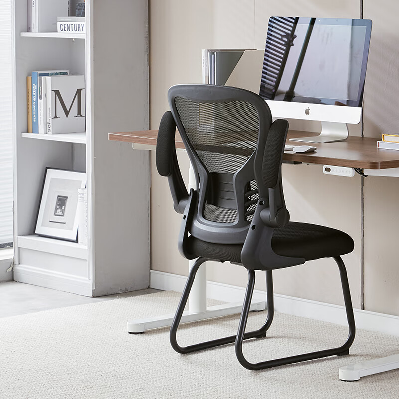 Botai BT-20910 Ergonomic Mesh Computer Chair