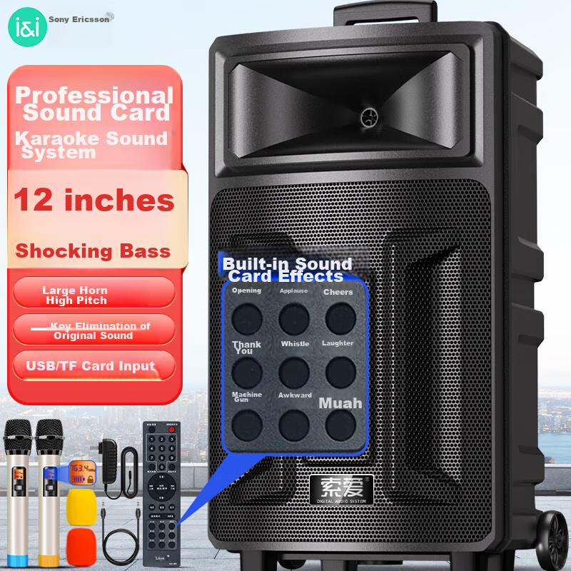 Soaiy Q28V Square Dance Speaker with 12-Inch Subwoofer & Bluetooth Microphones