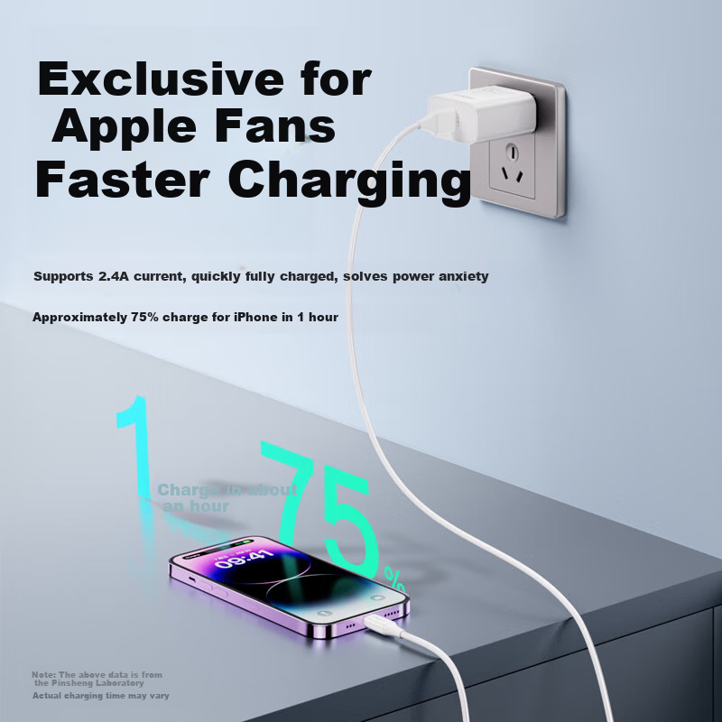 PISEN Apple USB to Lightning Fast Charging Cable