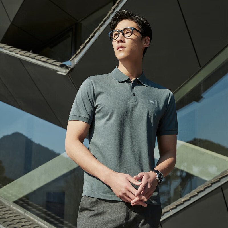 YOUNGOR Men's Summer Business Casual Polo Shirt - 2XL