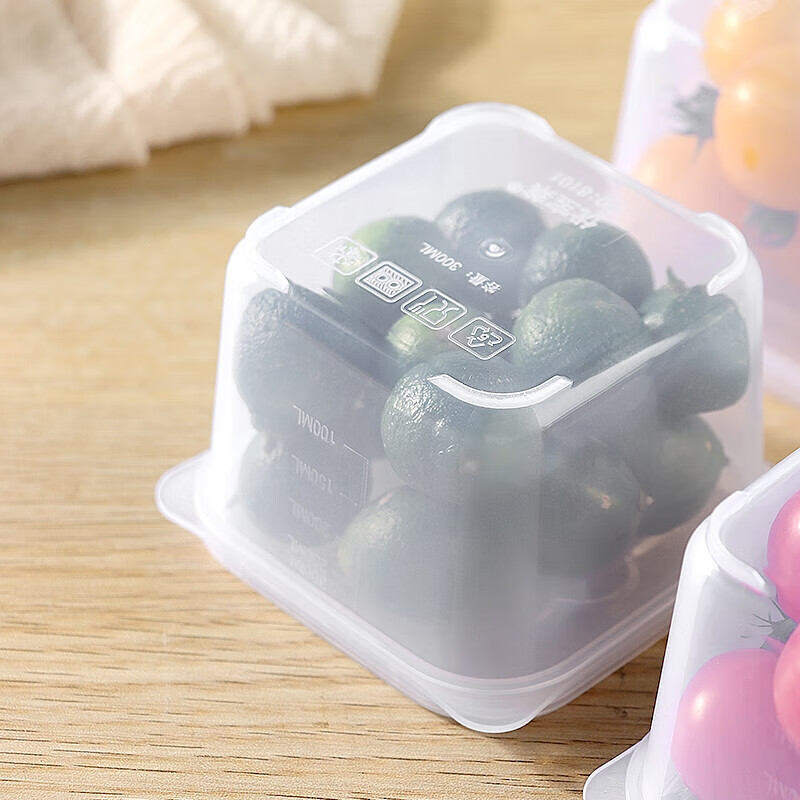 Baijie 250ml Food Sample Storage Container Set of 5 for Schools & Hotels