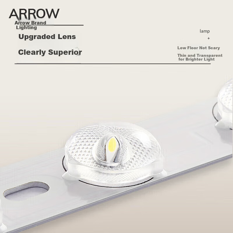 ARROW Indoor Ceiling Light for Living Room