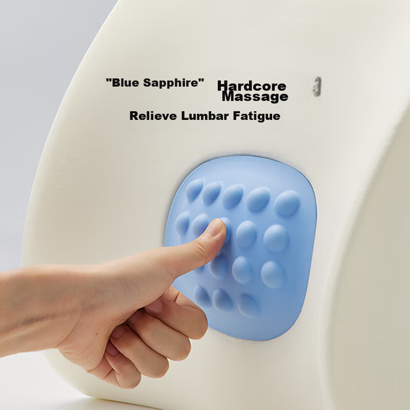 8H Memory Foam Lumbar Support Pillow Pro