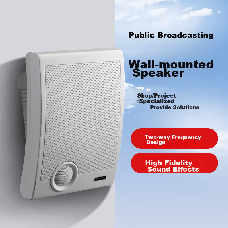 SAST A2 Constant Voltage Wall-Mounted Speaker