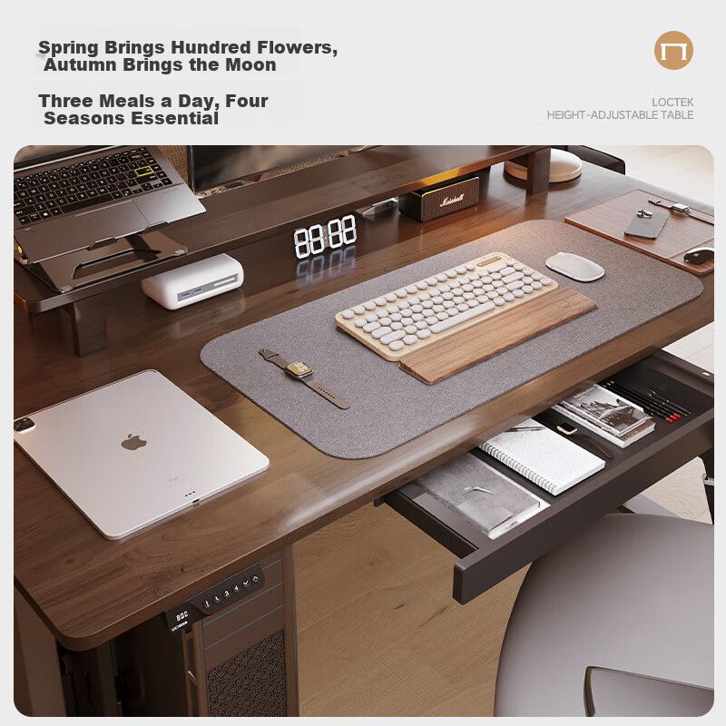 Loctek Electric Standing Desk ES2Pro 1.4m Gray Wood Grain