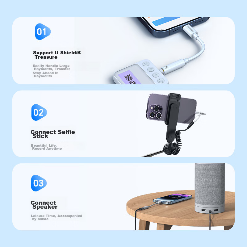 Shengwei Lightning to 3.5mm Headphone Adapter