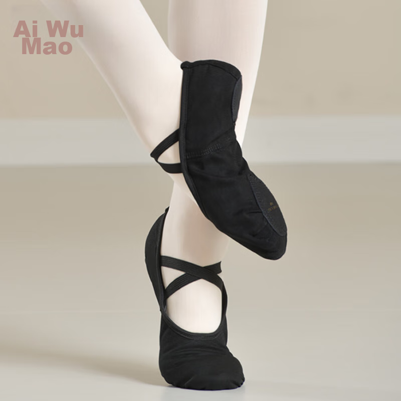 Aiwuge Ballet Shoes for Girls and Kids