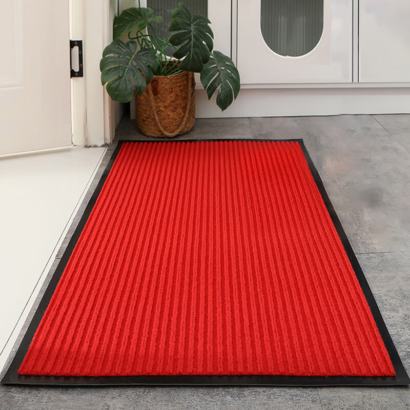 DIYIN Entryway Mat - Non-Slip Dust Removal Mat