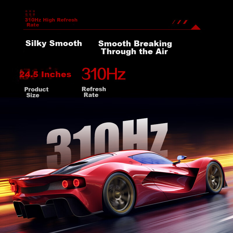 AOC 24.5-Inch 310Hz FastIPS Monitor
