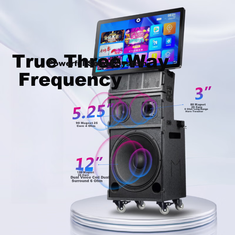 SAST Outdoor Square Dance Speaker High Power