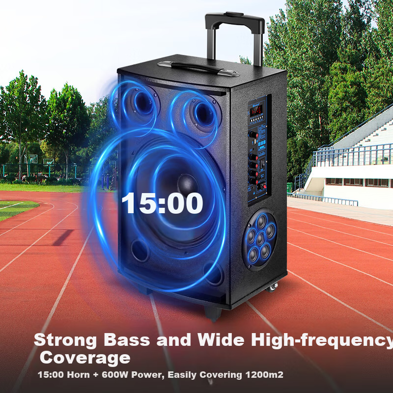 SAST 18-Inch Square Dance Speaker