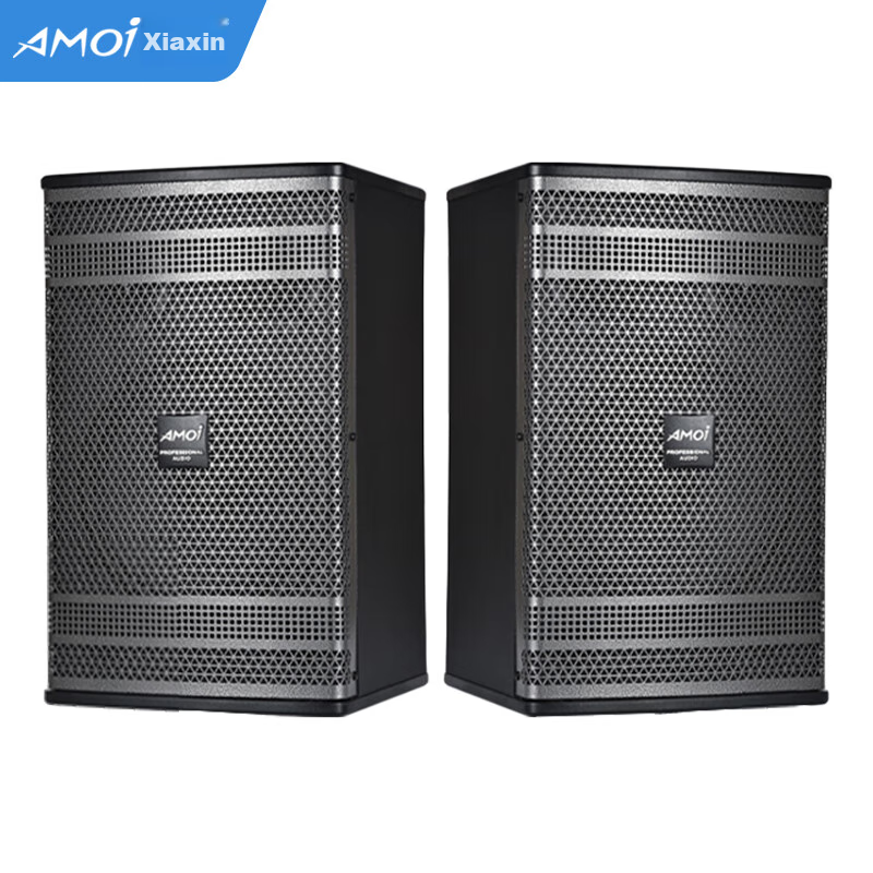 Amoi 10-Inch Home KTV Speaker Set