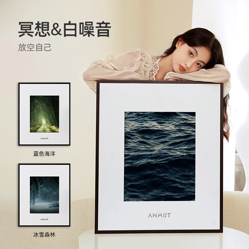 Anmut S2 PRO Wall Painting Speaker