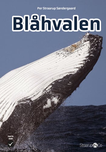 Blåhvalen