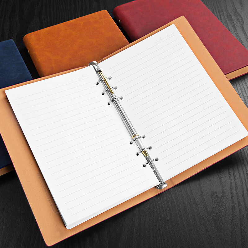 Longe B5 Loose-Leaf Notebook