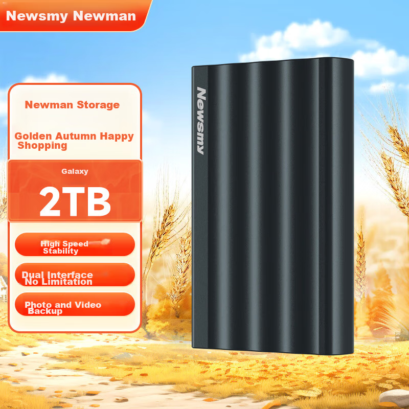 Newsmy 1TB External Hard Drive - Dual Disk Backup