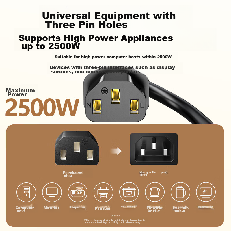BIAZE Standard Two-Prong Figure-8 Cable