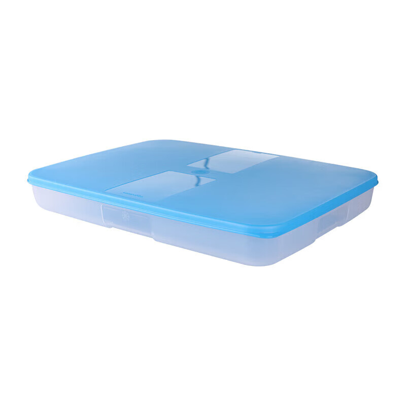 Tupperware Freezer Dumpling Box 1.3L