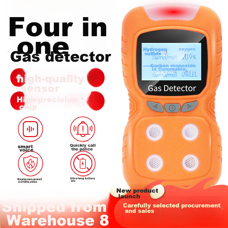 Beihai 4-Gas Detector with Pump