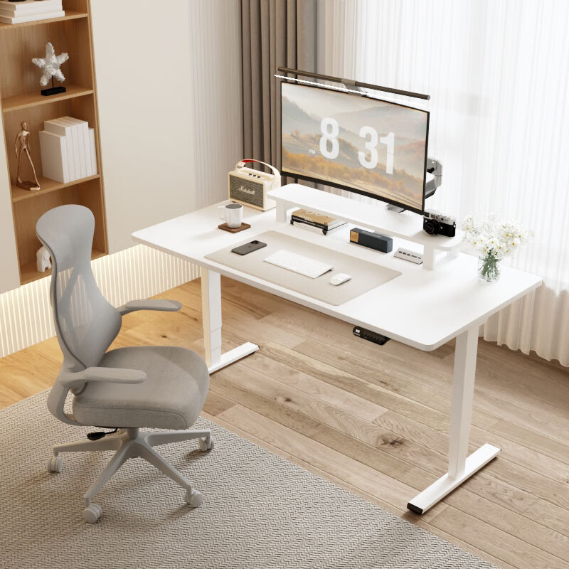 Loctek Electric Standing Desk E5X White