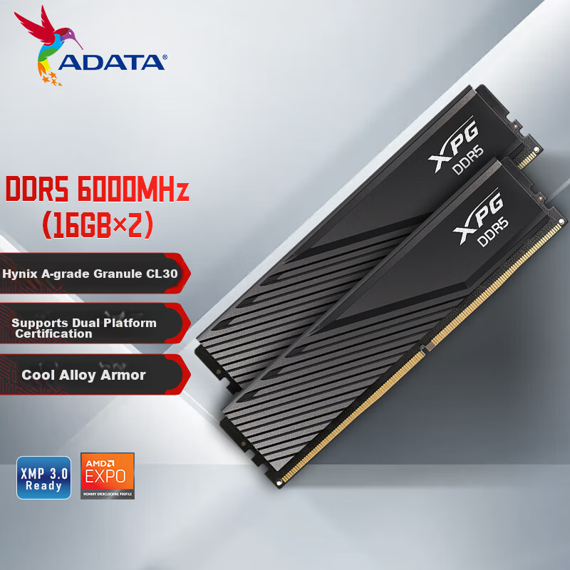 ADATA XPG Weilong D300 DDR5 6000MHz 32GB (16GB x 2) Desktop Memory