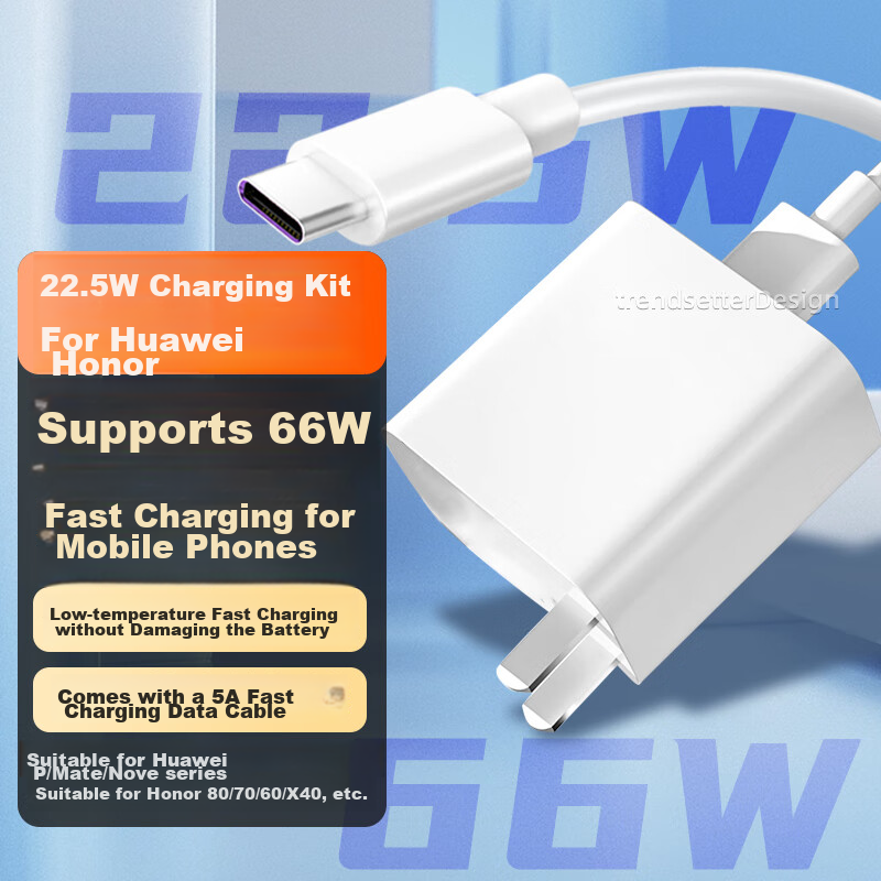 Trendsetter Dual-Head Type-C Charger for DJI 30W Fast Charging
