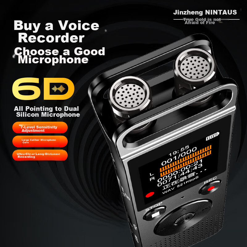 NINTAUS 32GB Voice Recorder