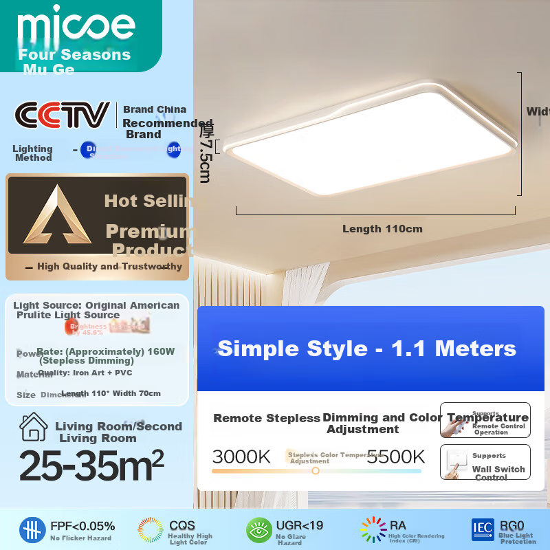 MICOE Full Spectrum Ceiling Light 2024