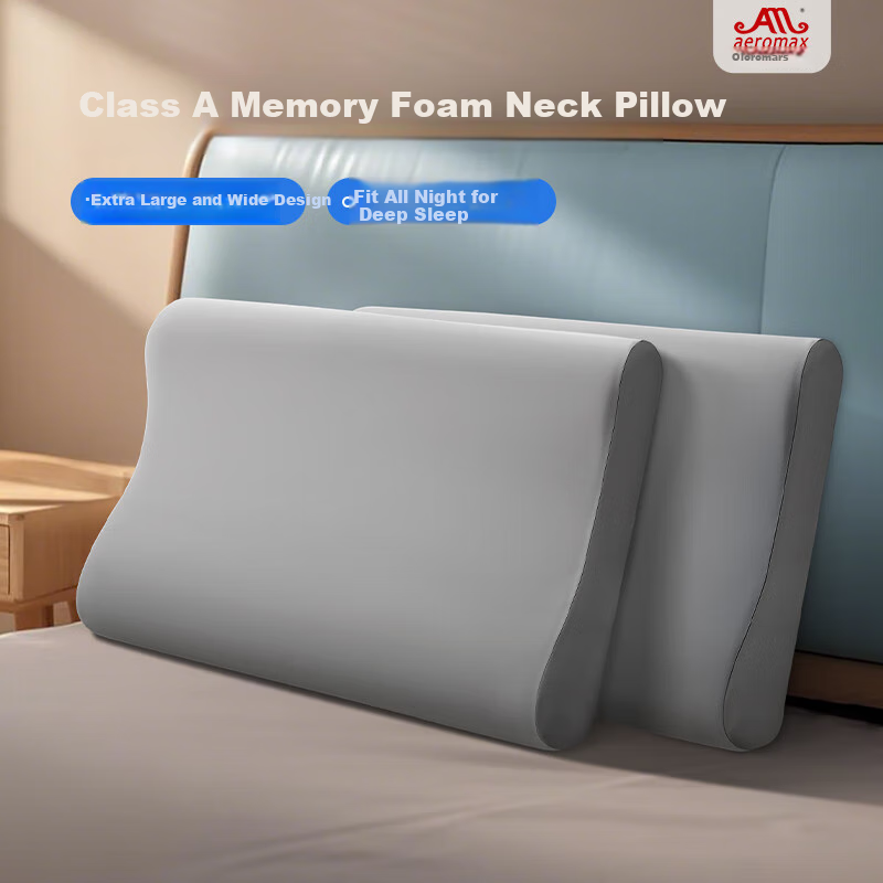 Aeromax Memory Pillow with Tech Cloud Feel