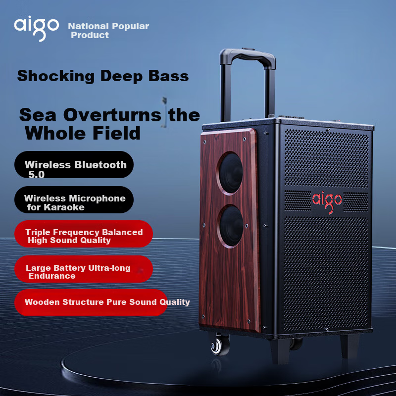 Aiguozhe S610 10-Inch Heavy Bass Speaker