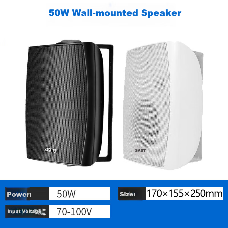SAST DW50 Wall-Mounted Ceiling Speaker