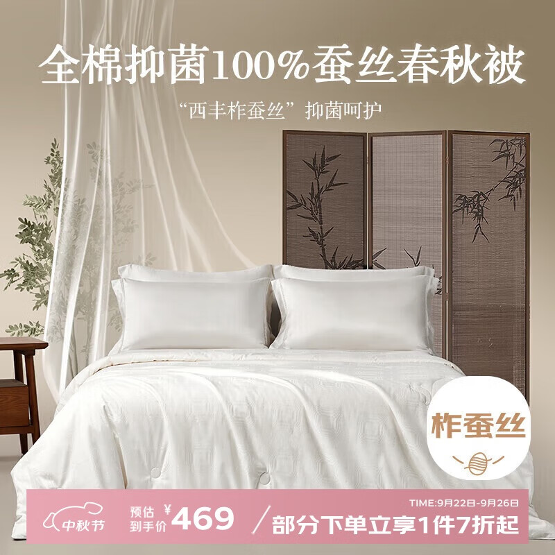 BEYOND Home Textiles Linlang Antibacterial Silk Duvet