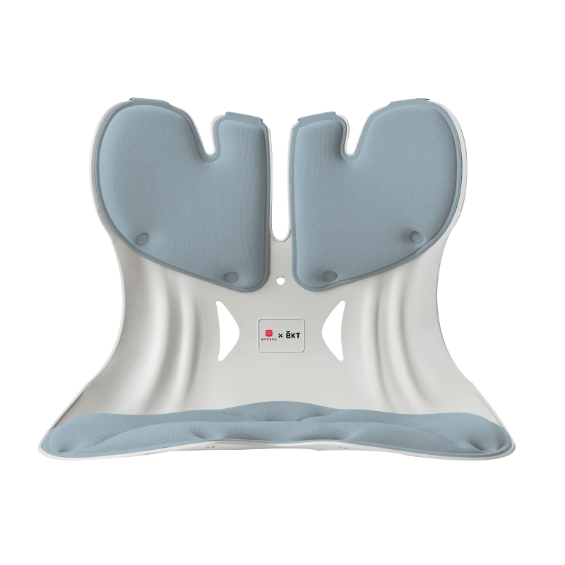 BKT Ergonomic Lumbar Support Chair Cushion (Extra Large)
