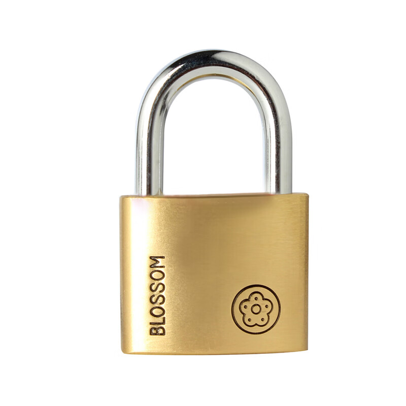 BLOSSOM Copper Padlock - Durable & Waterproof Lock for Doors and Cabinets