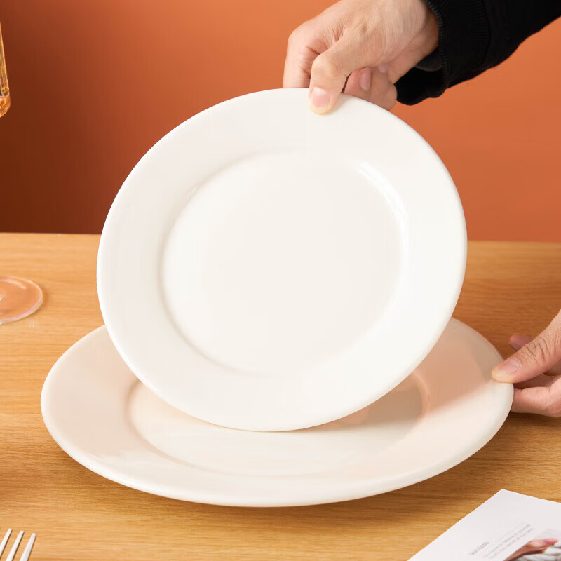 Youlaifu 10-Inch European Style Ceramic Steak Plate Set of 2