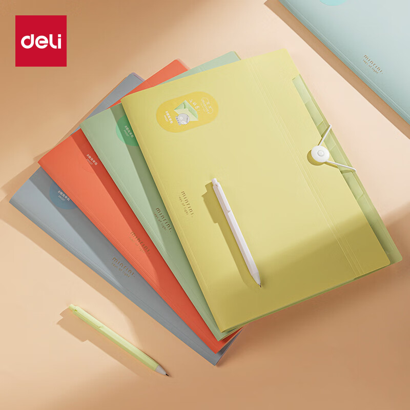Deli Light-Sensitive 8-Pocket Accordion Folder