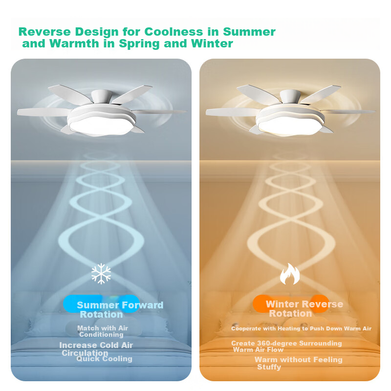 ARROW 52" Six-Blade Ceiling Fan Light