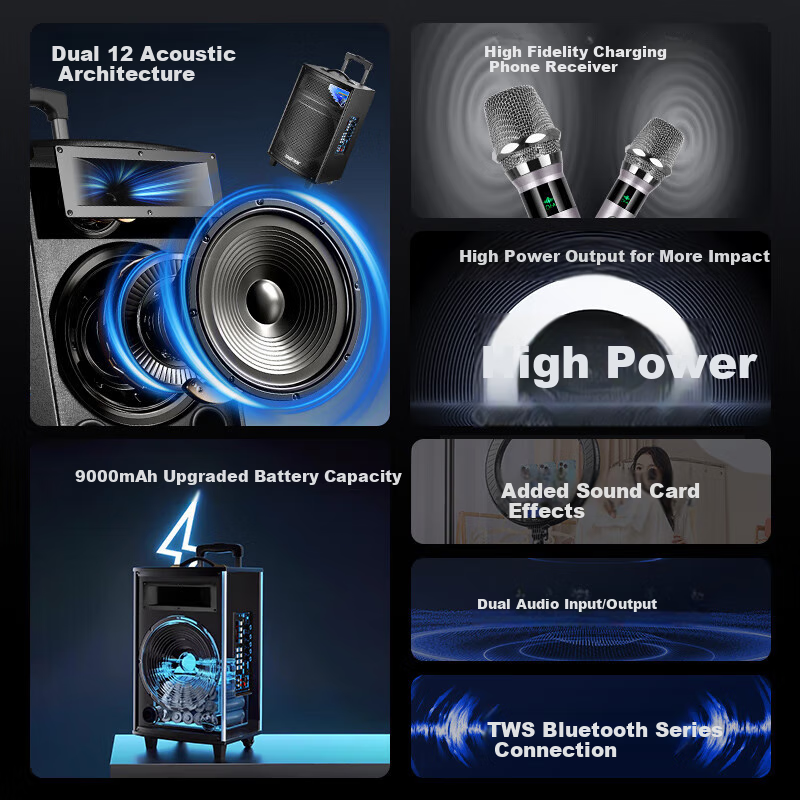SAST High-Power Square Dance Speaker