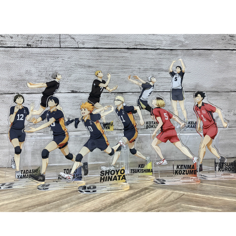 Y LINE Volleyball Youth Acrylic Standee