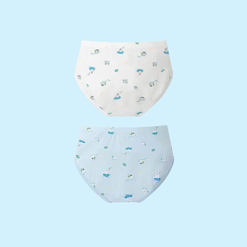 Annil Boys' Boxer Briefs Set - Spring 2025