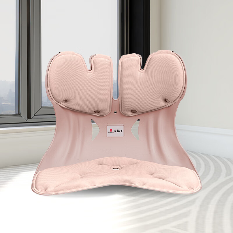 BKT Ergonomic Lumbar Support Cushion for Pregnancy & Long Sitting