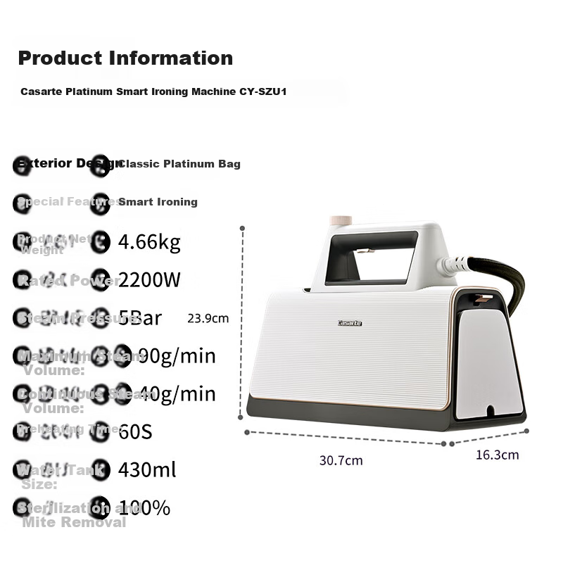 Casarte Platinum Garment Steamer