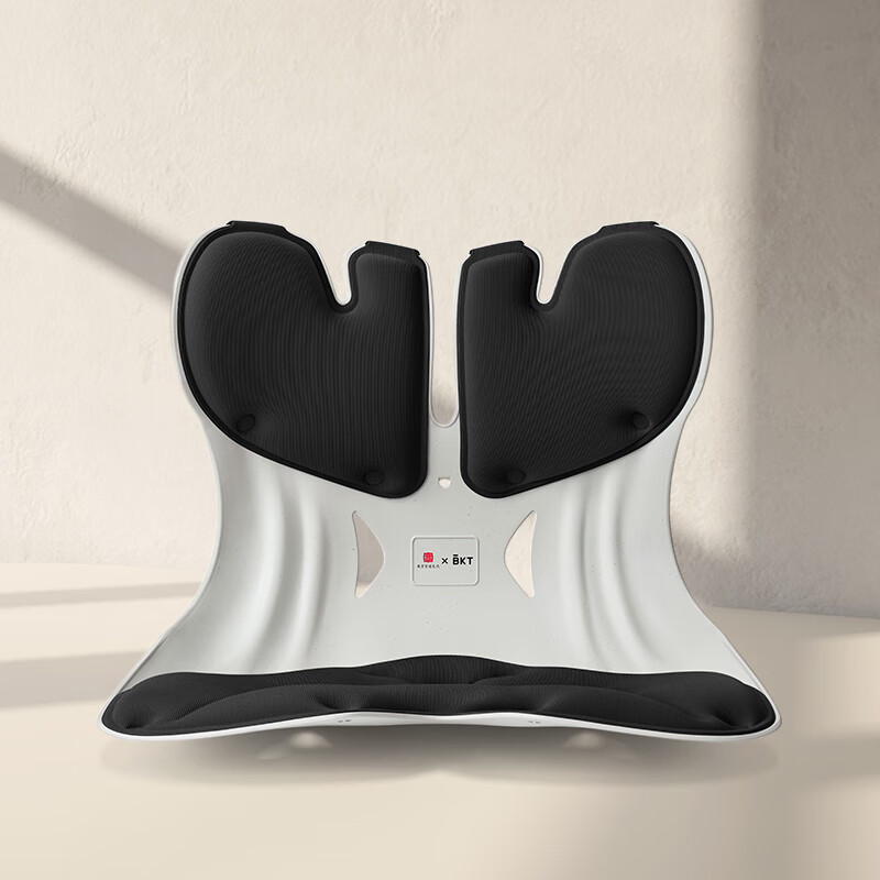 BKT Ergonomic Lumbar Support Cushion