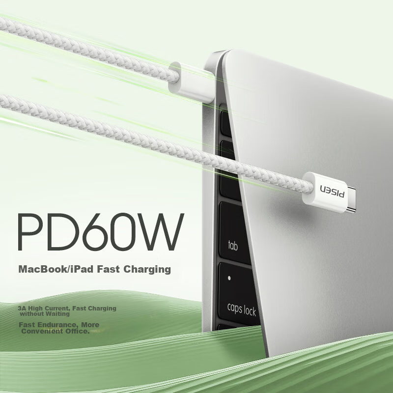 PISEN Dual-Head Type-C to USB-C Fast Charging Cable
