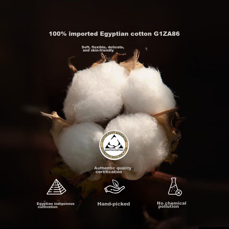 Canasin Egyptian Cotton First Class Blanket