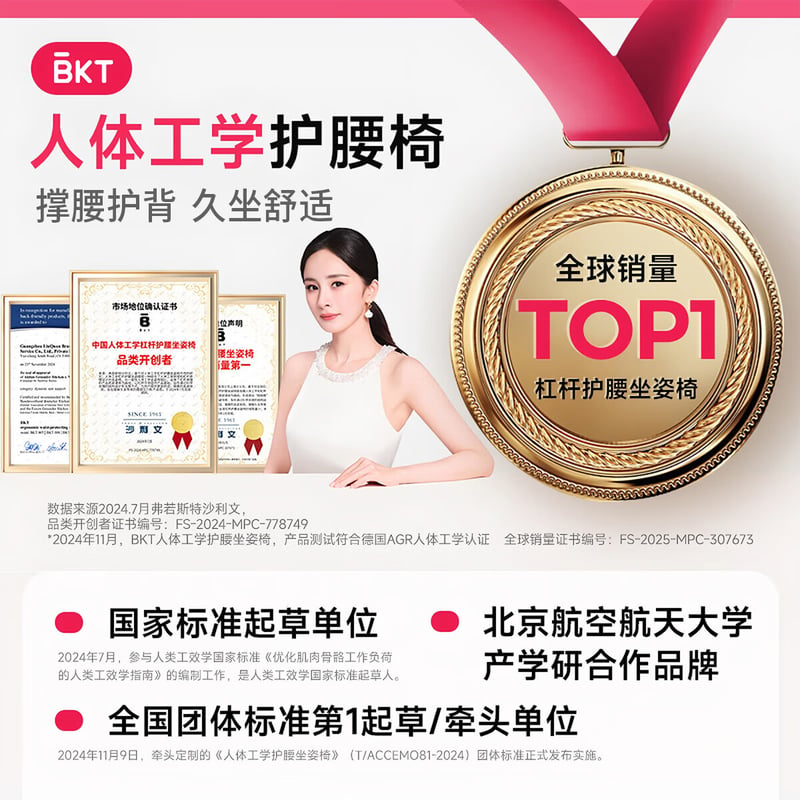 BKT Lumbar Support Cushion