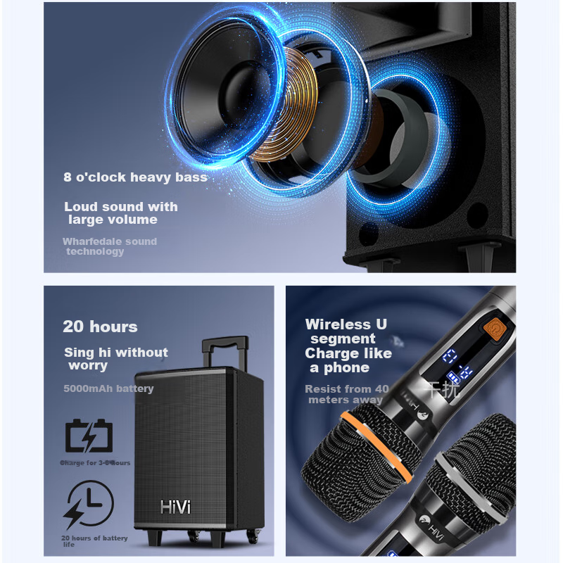 HiVi 8-Inch Professional Square Dance Speaker
