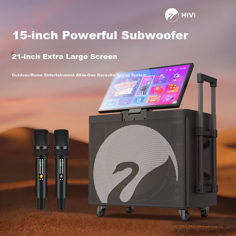 HiVi Home KTV Sound System with Square Speaker & Display