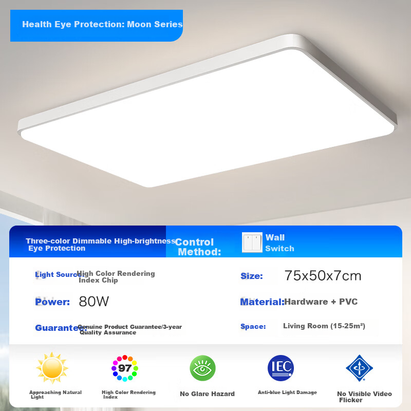 MICOE Full Spectrum Eye Protection Ceiling Light