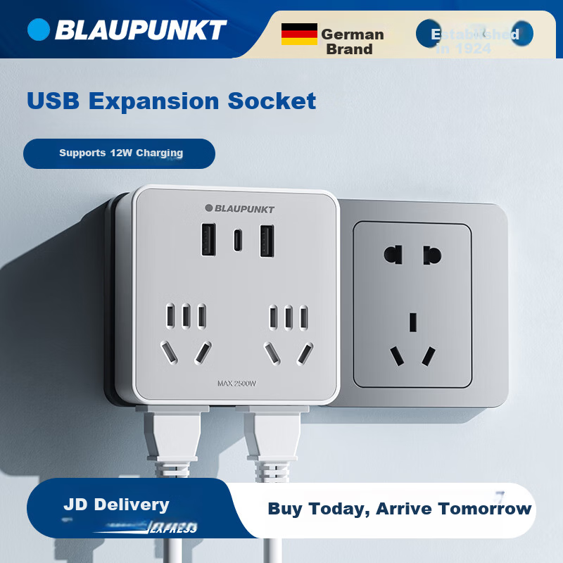 BLAUPUNKT 86 Panel Socket Extender - 1-to-2 Multi-Outlet USB Adapter